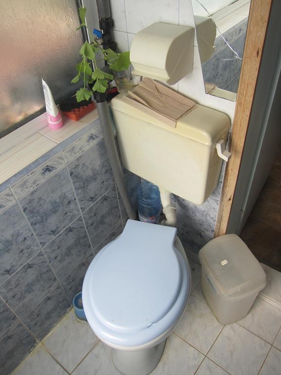 Diana Guesthouse Veliko Tarnovo Buitenkant foto